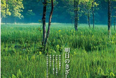 thumbnail of GIFUNET 74