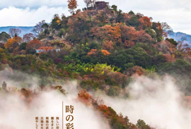 thumbnail of GIFUNET 75